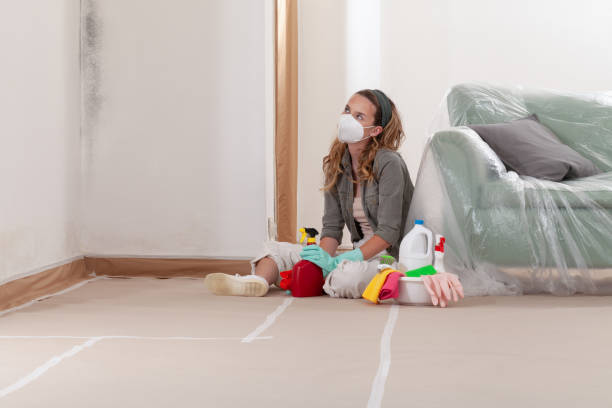 Trusted Mold Inspection service in White Marsh, MD - WQB Mold Removal